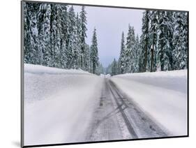 View of snow covered road, Willamette National Forest, Linn County, Oregon, USA-null-Mounted Photographic Print