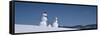 View of Snowmen in Snow Covered Landscape, Waterbury, Vermont, USA-null-Framed Stretched Canvas