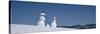 View of Snowmen in Snow Covered Landscape, Waterbury, Vermont, USA-null-Stretched Canvas