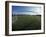 View of Soccer Field Through Goal-Steven Sutton-Framed Photographic Print