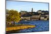 View of Sodermalm District in Stockholm, Sweden-Carlos Sanchez Pereyra-Mounted Photographic Print