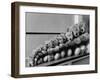 View of Some Teddy Bears-Michael Rougier-Framed Photographic Print