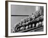 View of Some Teddy Bears-Michael Rougier-Framed Photographic Print