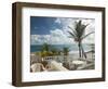 View of Soup Bowl Beach, Bathsheba, Barbados, Caribbean-Walter Bibikow-Framed Photographic Print