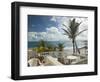 View of Soup Bowl Beach, Bathsheba, Barbados, Caribbean-Walter Bibikow-Framed Photographic Print