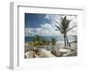 View of Soup Bowl Beach, Bathsheba, Barbados, Caribbean-Walter Bibikow-Framed Photographic Print