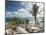 View of Soup Bowl Beach, Bathsheba, Barbados, Caribbean-Walter Bibikow-Mounted Photographic Print
