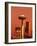 View of Space Needle and Seattle Buildings, Seattle, Washington, USA-Stuart Westmorland-Framed Photographic Print