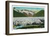 View of Spencer Glacier, Near Seward, Alaska - Spencer Glacier, AK-Lantern Press-Framed Art Print
