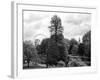 View of St James's Park Lake and Big Ben - London - UK - England - United Kingdom - Europe-Philippe Hugonnard-Framed Photographic Print