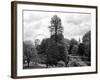 View of St James's Park Lake and Big Ben - London - UK - England - United Kingdom - Europe-Philippe Hugonnard-Framed Photographic Print