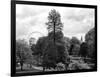 View of St James's Park Lake and Big Ben - London - UK - England - United Kingdom - Europe-Philippe Hugonnard-Framed Photographic Print