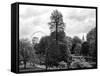 View of St James's Park Lake and Big Ben - London - UK - England - United Kingdom - Europe-Philippe Hugonnard-Framed Stretched Canvas