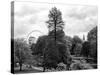 View of St James's Park Lake and Big Ben - London - UK - England - United Kingdom - Europe-Philippe Hugonnard-Stretched Canvas