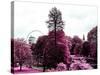 View of St James's Park Lake and Big Ben - London - UK - England - United Kingdom - Europe-Philippe Hugonnard-Stretched Canvas