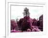 View of St James's Park Lake and Big Ben - London - UK - England - United Kingdom - Europe-Philippe Hugonnard-Framed Photographic Print