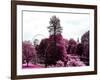 View of St James's Park Lake and Big Ben - London - UK - England - United Kingdom - Europe-Philippe Hugonnard-Framed Photographic Print