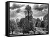 View of St James's Park Lake and Big Ben - London - UK - England - United Kingdom - Europe-Philippe Hugonnard-Framed Stretched Canvas