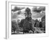 View of St James's Park Lake and Big Ben - London - UK - England - United Kingdom - Europe-Philippe Hugonnard-Framed Photographic Print