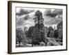 View of St James's Park Lake and Big Ben - London - UK - England - United Kingdom - Europe-Philippe Hugonnard-Framed Photographic Print