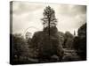 View of St James's Park Lake and Big Ben - London - UK - England - United Kingdom - Europe-Philippe Hugonnard-Stretched Canvas