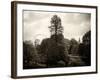 View of St James's Park Lake and Big Ben - London - UK - England - United Kingdom - Europe-Philippe Hugonnard-Framed Photographic Print