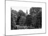 View of St James's Park Lake and Big Ben - London - UK - England - United Kingdom - Europe-Philippe Hugonnard-Mounted Art Print