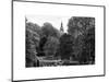 View of St James's Park Lake and Big Ben - London - UK - England - United Kingdom - Europe-Philippe Hugonnard-Mounted Art Print