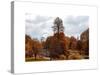 View of St James's Park Lake and Big Ben - London - UK - England - United Kingdom - Europe-Philippe Hugonnard-Stretched Canvas