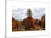 View of St James's Park Lake and Big Ben - London - UK - England - United Kingdom - Europe-Philippe Hugonnard-Stretched Canvas