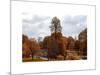 View of St James's Park Lake and Big Ben - London - UK - England - United Kingdom - Europe-Philippe Hugonnard-Mounted Art Print