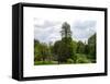 View of St James's Park Lake and Big Ben - London - UK - England - United Kingdom - Europe-Philippe Hugonnard-Framed Stretched Canvas