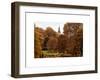 View of St James's Park Lake and Big Ben - London - UK - England - United Kingdom - Europe-Philippe Hugonnard-Framed Art Print