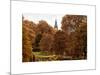 View of St James's Park Lake and Big Ben - London - UK - England - United Kingdom - Europe-Philippe Hugonnard-Mounted Art Print