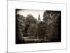 View of St James's Park Lake and Big Ben - London - UK - England - United Kingdom - Europe-Philippe Hugonnard-Mounted Art Print