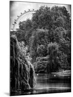View of St James's Park Lake and the Millennium Wheel - London - England - United Kingdom-Philippe Hugonnard-Mounted Photographic Print
