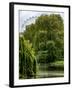 View of St James's Park Lake and the Millennium Wheel - London - England - United Kingdom-Philippe Hugonnard-Framed Photographic Print