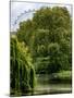 View of St James's Park Lake and the Millennium Wheel - London - England - United Kingdom-Philippe Hugonnard-Mounted Photographic Print