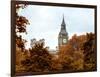 View of St James's Park with Big Ben - London - UK - England - United Kingdom - Europe-Philippe Hugonnard-Framed Photographic Print