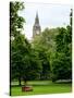 View of St James's Park with Big Ben - London - UK - England - United Kingdom - Europe-Philippe Hugonnard-Stretched Canvas