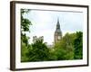 View of St James's Park with Big Ben - London - UK - England - United Kingdom - Europe-Philippe Hugonnard-Framed Photographic Print