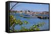 View of St. Johns from Harbour-Frank Fell-Framed Stretched Canvas