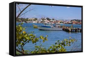 View of St. Johns from Harbour-Frank Fell-Framed Stretched Canvas