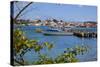 View of St. Johns from Harbour-Frank Fell-Stretched Canvas