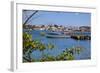 View of St. Johns from Harbour-Frank Fell-Framed Photographic Print
