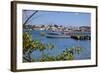 View of St. Johns from Harbour-Frank Fell-Framed Photographic Print