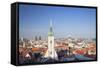 View of St. Martin's Cathedral and City Skyline, Bratislava, Slovakia, Europe-Ian Trower-Framed Stretched Canvas