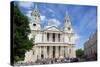 View of St. Paul's Cathedral, London, England, United Kingdom, Europe-Frank Fell-Stretched Canvas