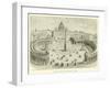 View of St Peter's, Rome-null-Framed Giclee Print