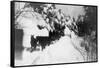 View of Stagecoach Driving through Snowy Mitchell Rd - Downieville, CA-Lantern Press-Framed Stretched Canvas